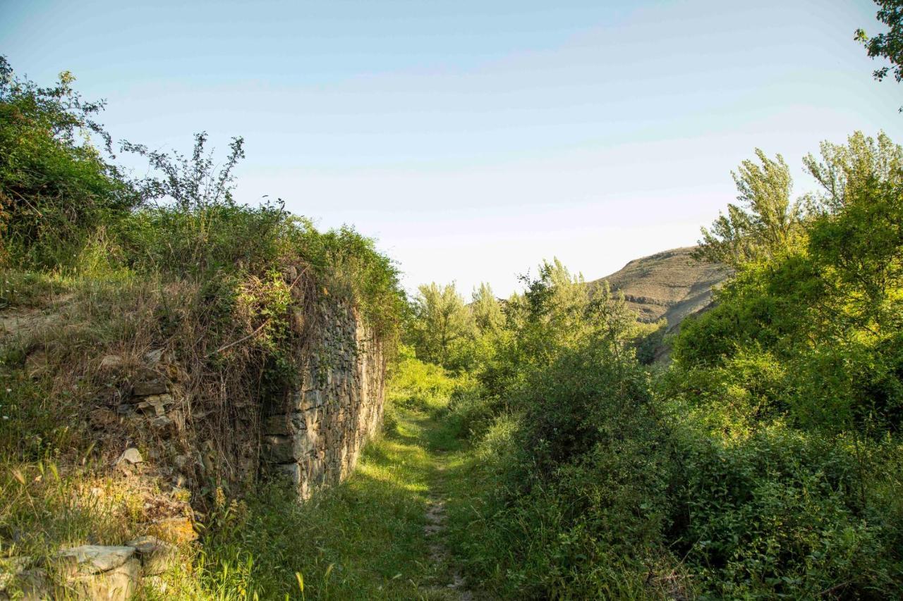 منزل الضيف إنسيسو  في Casa Rural El Huerto De La Fragua المظهر الخارجي الصورة