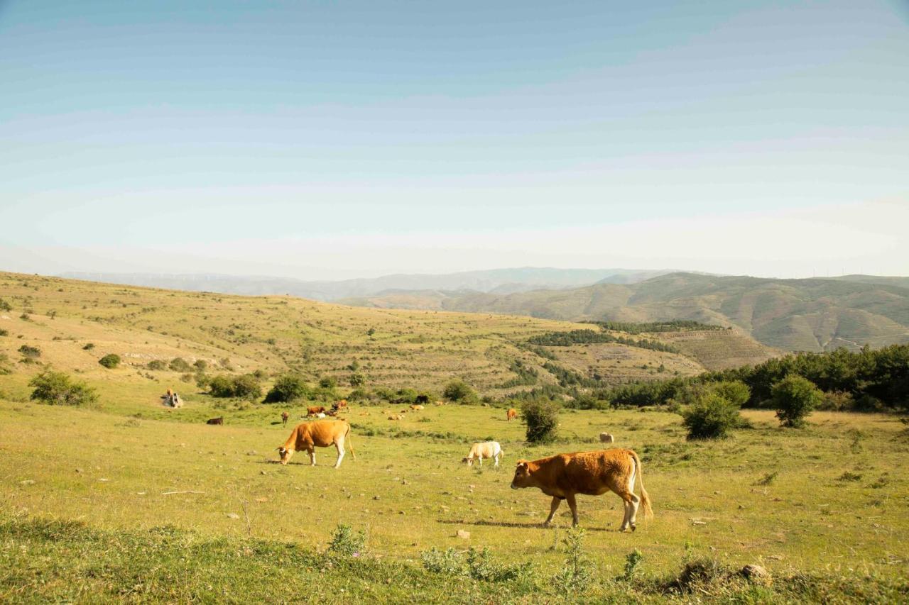 منزل الضيف إنسيسو  في Casa Rural El Huerto De La Fragua المظهر الخارجي الصورة