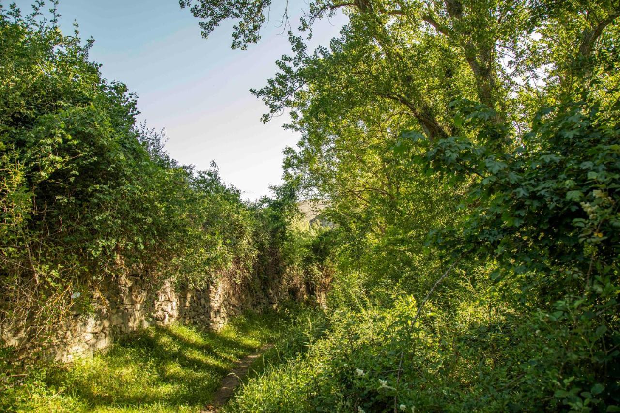 منزل الضيف إنسيسو  في Casa Rural El Huerto De La Fragua المظهر الخارجي الصورة