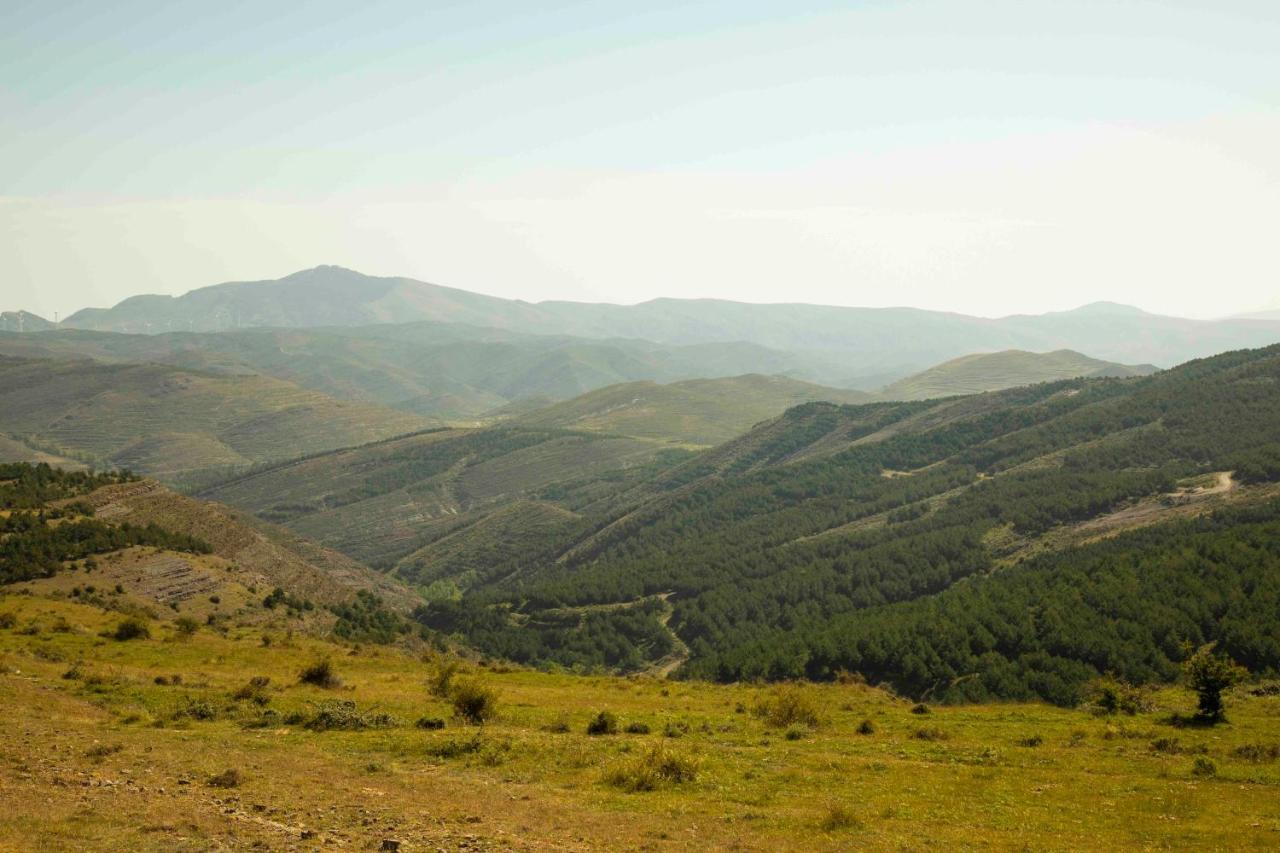 منزل الضيف إنسيسو  في Casa Rural El Huerto De La Fragua المظهر الخارجي الصورة